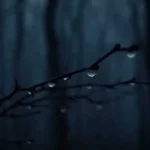 ریمیکس احسان وزیری و هیپهاپولوژیست و سورنا مثل تو