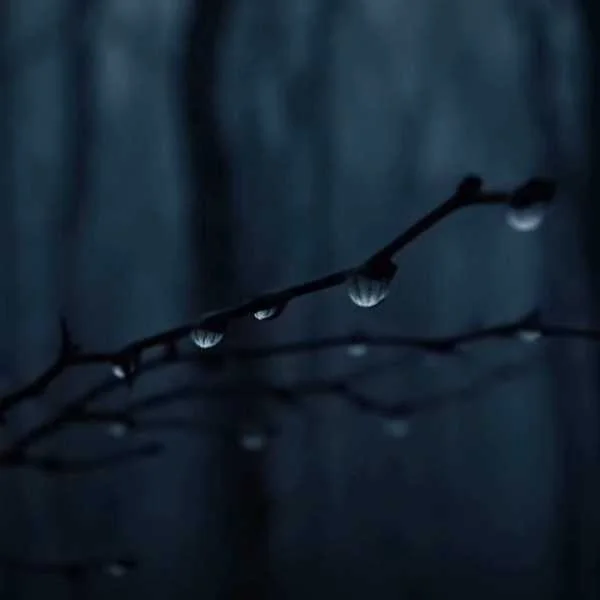 دانلود ریمیکس احسان وزیری و هیپهاپولوژیست و سورنا مثل تو