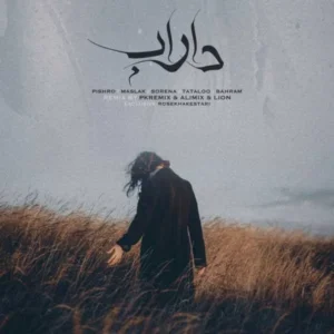 ریمیکس ریمیکس سورنا و بهرام و پیشرو و مسلک داراب