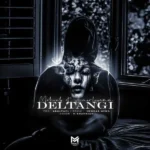 ریمیکس امیر لیام و مهراب دلتنگی