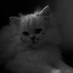 هرکی بود تو راحت بغل کردی