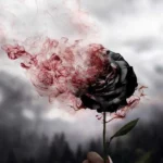ریمیکس سانبوی و بهرام و سورنا و تتلو خاک و خون