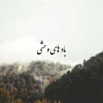 دانلود آهنگ علی سورنا بادهای وحشی