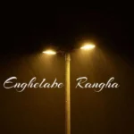 دانلود آهنگ علی سورنا انقلاب رنگ ها