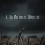 دانلود آهنگ علی سورنا کی با ما زوزه میکشه