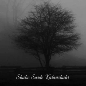 آهنگ علی سورنا شب سرد کلانشهر