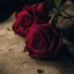 عزیزترین سوغاتیه غبار پیراهن تو