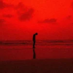 دیدی نتونستی دیدی نشد