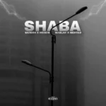 ریمیکس حصین و مسلک و صادق و مهیاد شبا