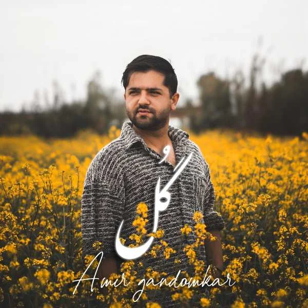 دانلود آهنگ امیر گندم کار گل