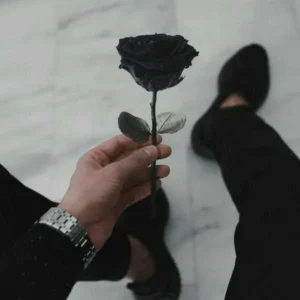 بزودی آی آی آی از اون چشا آی آی آی