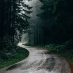 باران میبارد امشب