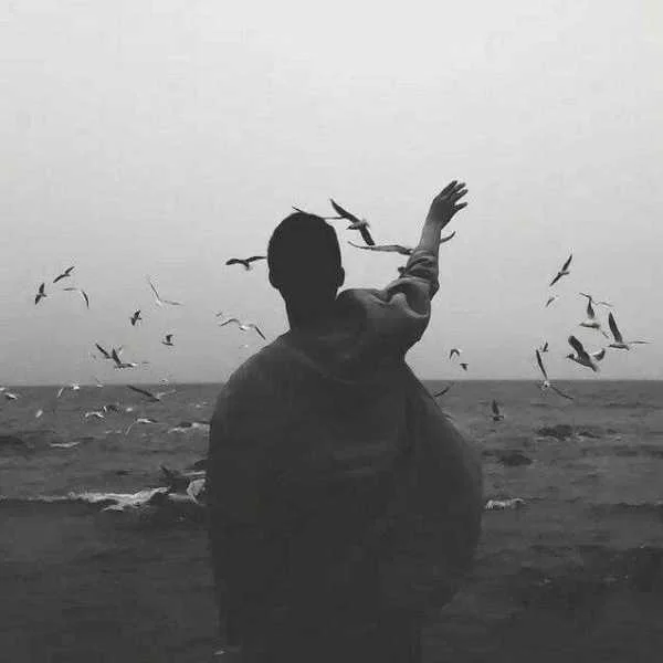 دانلود آهنگ دل هیشکی مثل من غم نداره