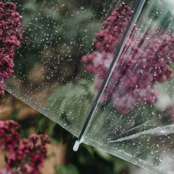 دانلود آهنگ بزن باران بهاران فصل خون است