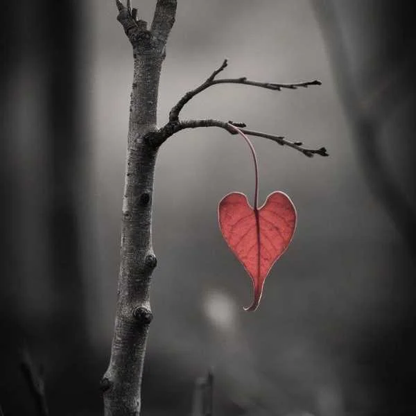 دانلود آهنگ دیگه مهم نیست کی میمونه کی میره