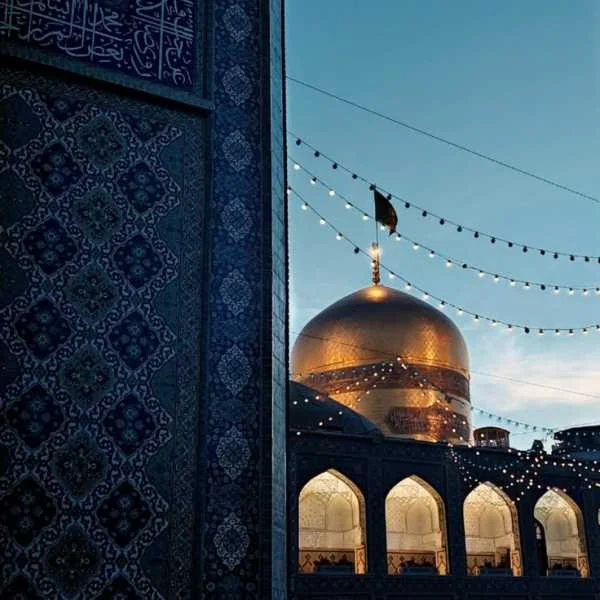 دانلود آهنگ امام رضا قربون کبوترات یه نگاهی هم بکن به زیر پات