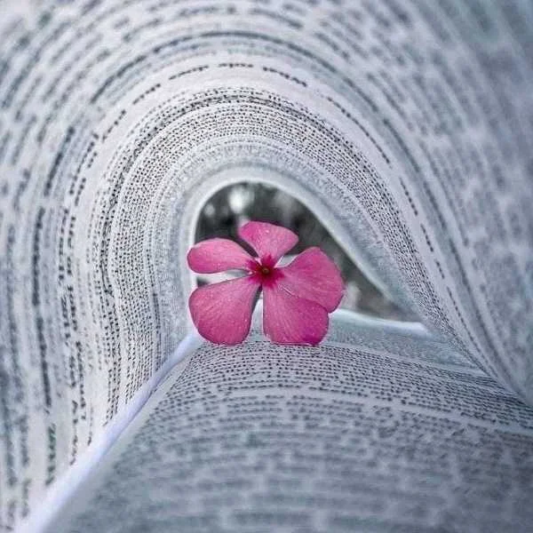 دانلود آهنگ رومان اولور یازسام سنی با صدای زن دانلود آهنگ رومان اولور یازسام سنی با صدای زن