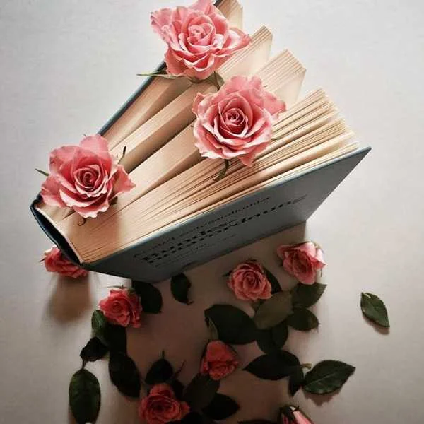 دانلود آهنگ زندگی با تو چقدر قشنگه دانلود آهنگ زندگی با تو چقدر قشنگه