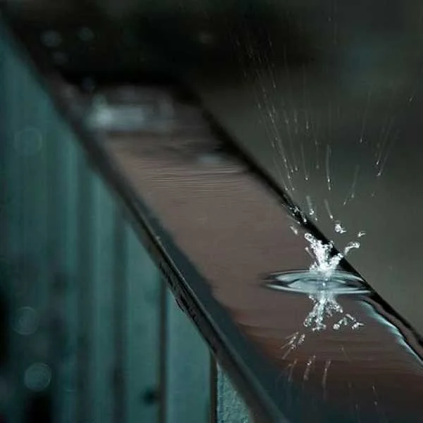 دانلود آهنگ مثل بارون اگه نباری خبر از حال من نداری دانلود آهنگ مثل بارون اگه نباری خبر از حال من نداری