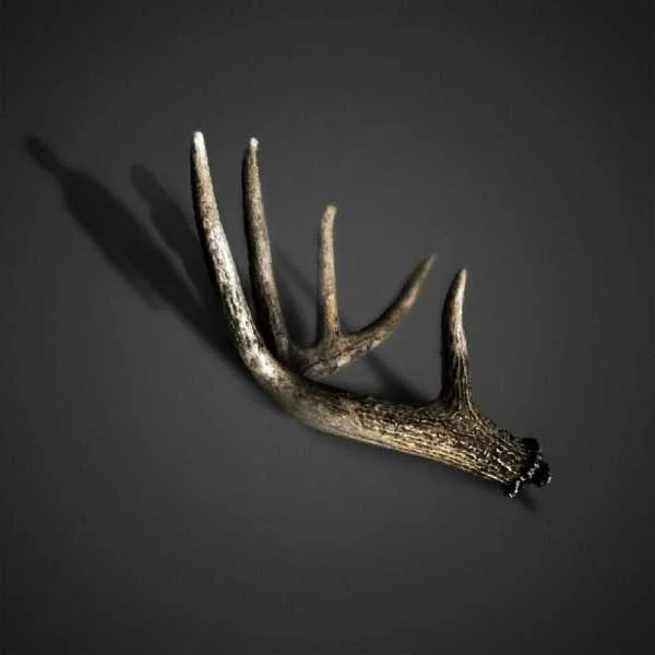 دانلود آهنگ علی سورنا شیب زمان دانلود آهنگ علی سورنا شیب زمان