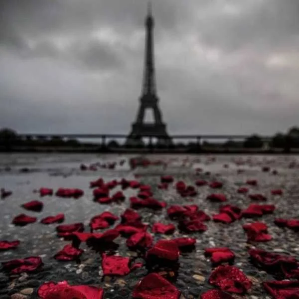 دانلود آهنگ بریم کجا بگو یه جای دور به جای نور ماه