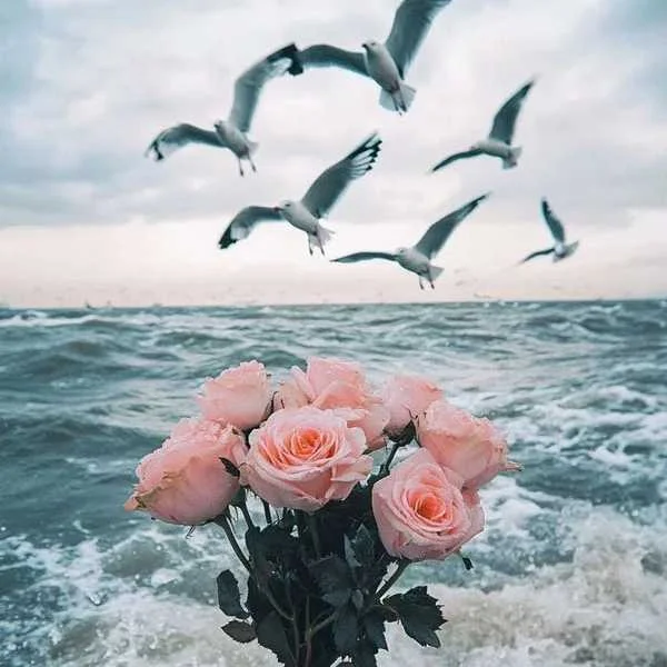 دانلود آهنگ رخصت از لبت بوسه بچینم گل نازم