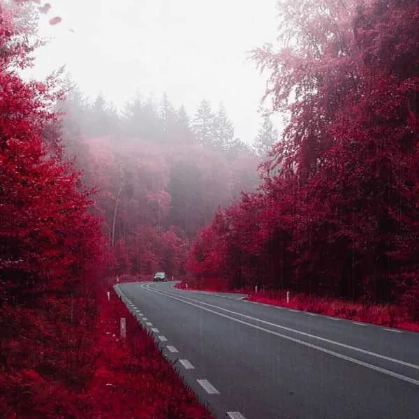 دانلود آهنگ کاپوچینو اساسینو دانلود آهنگ کاپوچینو اساسینو