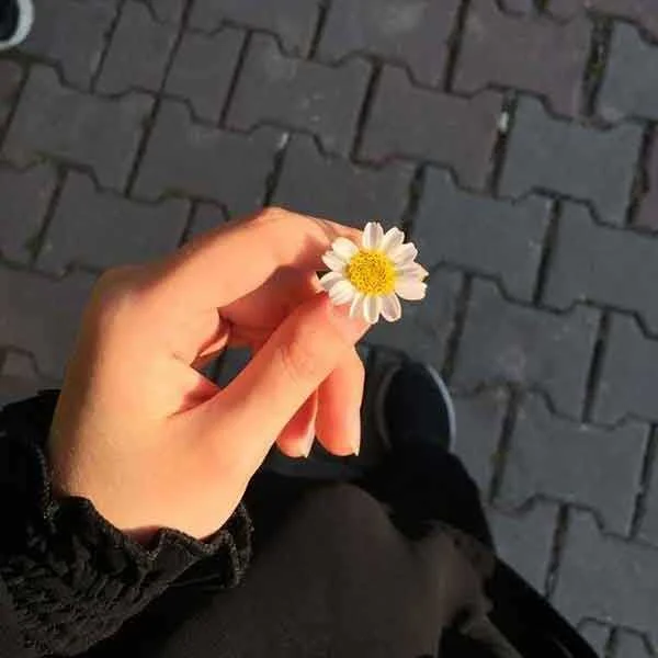 دانلود آهنگ نگو تمومه عمر آشنایی ریمیکس