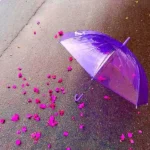 بی تو هر شب این دیوونه مست نگات زیر بارونه