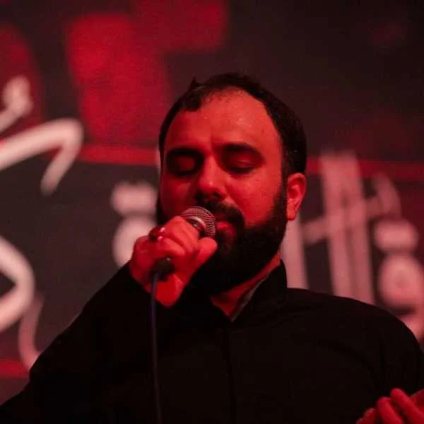 دانلود مداحی سید مهدی حسینی ای یادگار کربلا