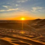 ای دختر صحرا نیلوفر
