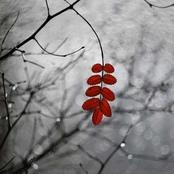 دانلود ریمیکس آیاز اردوغان چند سالته که آدمو آروم میکنی