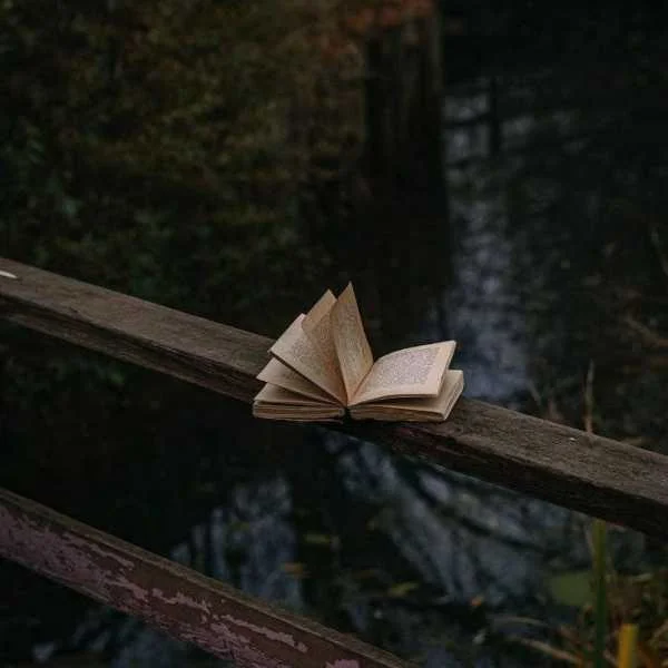 دانلود آهنگ چشم جادو مال تو دل آهو مال من