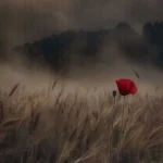 دردت به جونم دلم تنگه برا تو