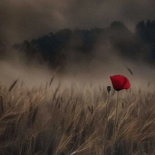 دانلود آهنگ دردت به جونم دلم تنگه برا تو