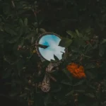 درکم کن من یه نمه حسود هستم خب