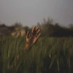 دل به دل راه داره اینو میدونم راهی نمونده هوش مصنوعی