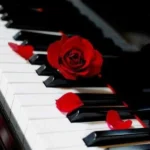 هندی دلبر دلبر