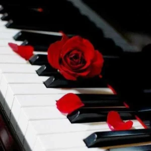 آهنگ هندی دلبر دلبر