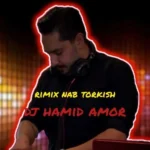 دیجی حمید امور