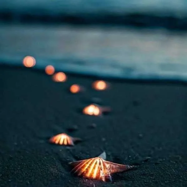 دانلود آهنگ دوباره کنار آب زیر ستاره هاییم