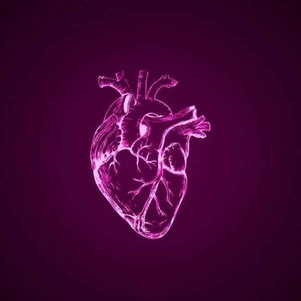 دانلود آهنگ قلب بنفش