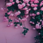 هوا بد کاپلیه بهت علاقم واقعیه