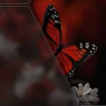 جون منی عمر منی