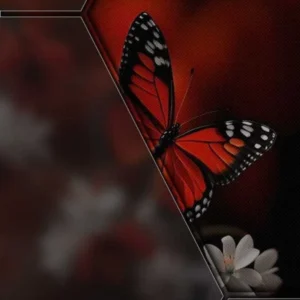 آهنگ جون منی عمر منی