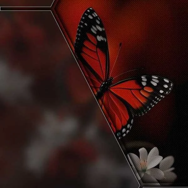 دانلود آهنگ جون منی عمر منی دانلود آهنگ جون منی عمر منی