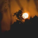 نامتو دادی به من خوندمش یواشکی