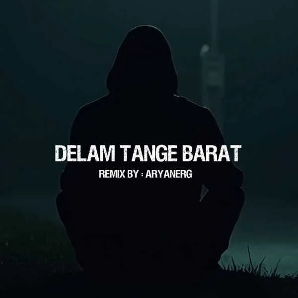 دانلود ریمیکس سورنا و پوری و ویناک و هودادکا دلم تنگه برات