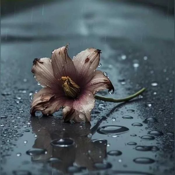 دانلود آهنگ من به یاد عطر بارون زده ریمیکس