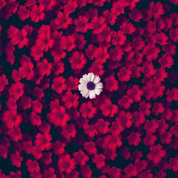 دانلود آهنگ وقتی میگم مراقب خودت باش دانلود آهنگ وقتی میگم مراقب خودت باش